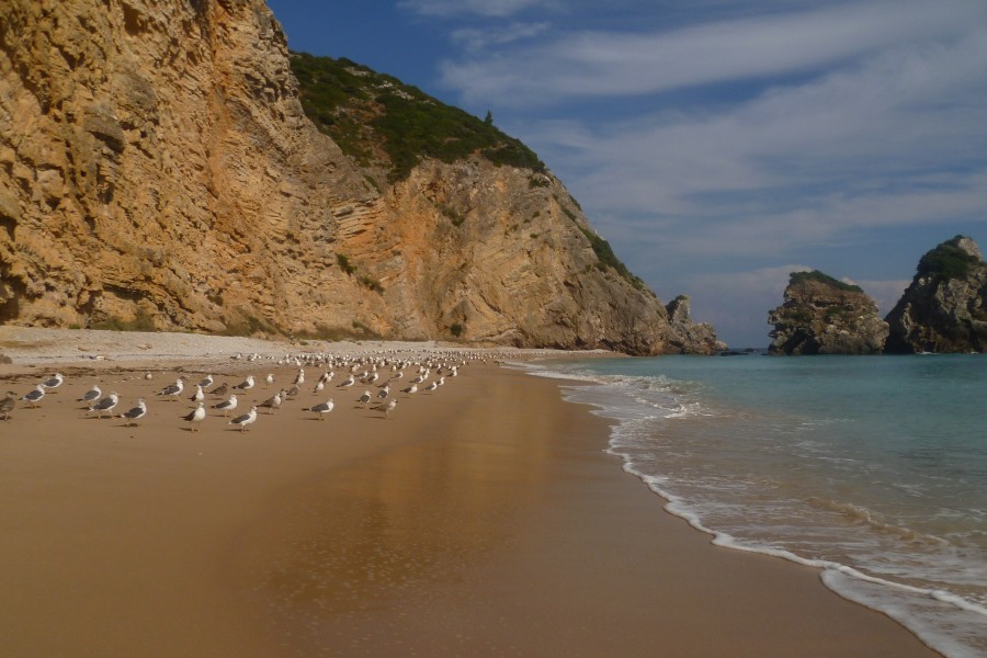 praia do cavalo